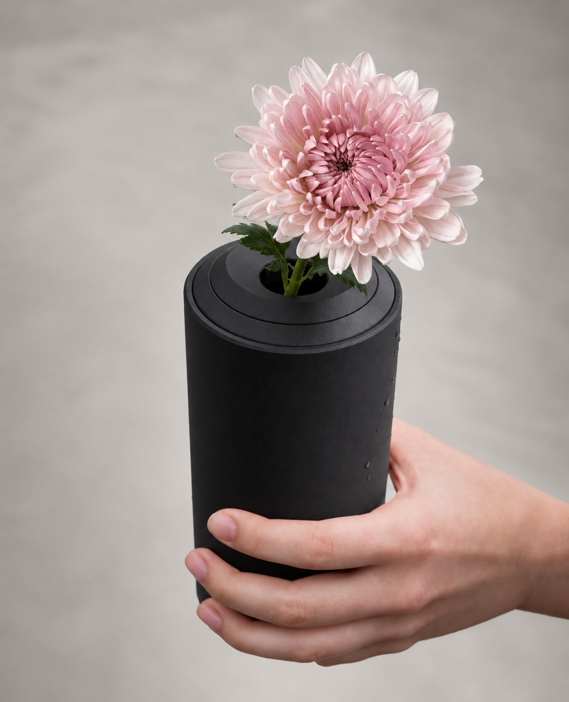 Hand hält eine schwarze Metallvase von Siqual Design mit einer zartrosa Chrysantheme vor einem neutralen Hintergrund.